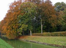Herbststimmung-23-10-09 031.jpg